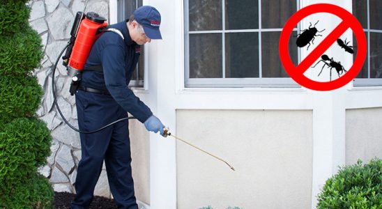 Özbek Dezenfeksiyon böcek ilaçlama ve haşere kontrolü — ilaclama-tr.com